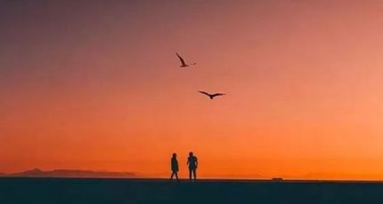 平凡,是每個(gè)人生命的底色